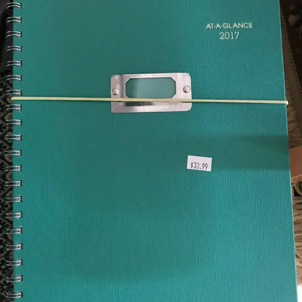 At-A-Glance Office | 2017 At A Glance Daily Planner | Color: Blue/Green |